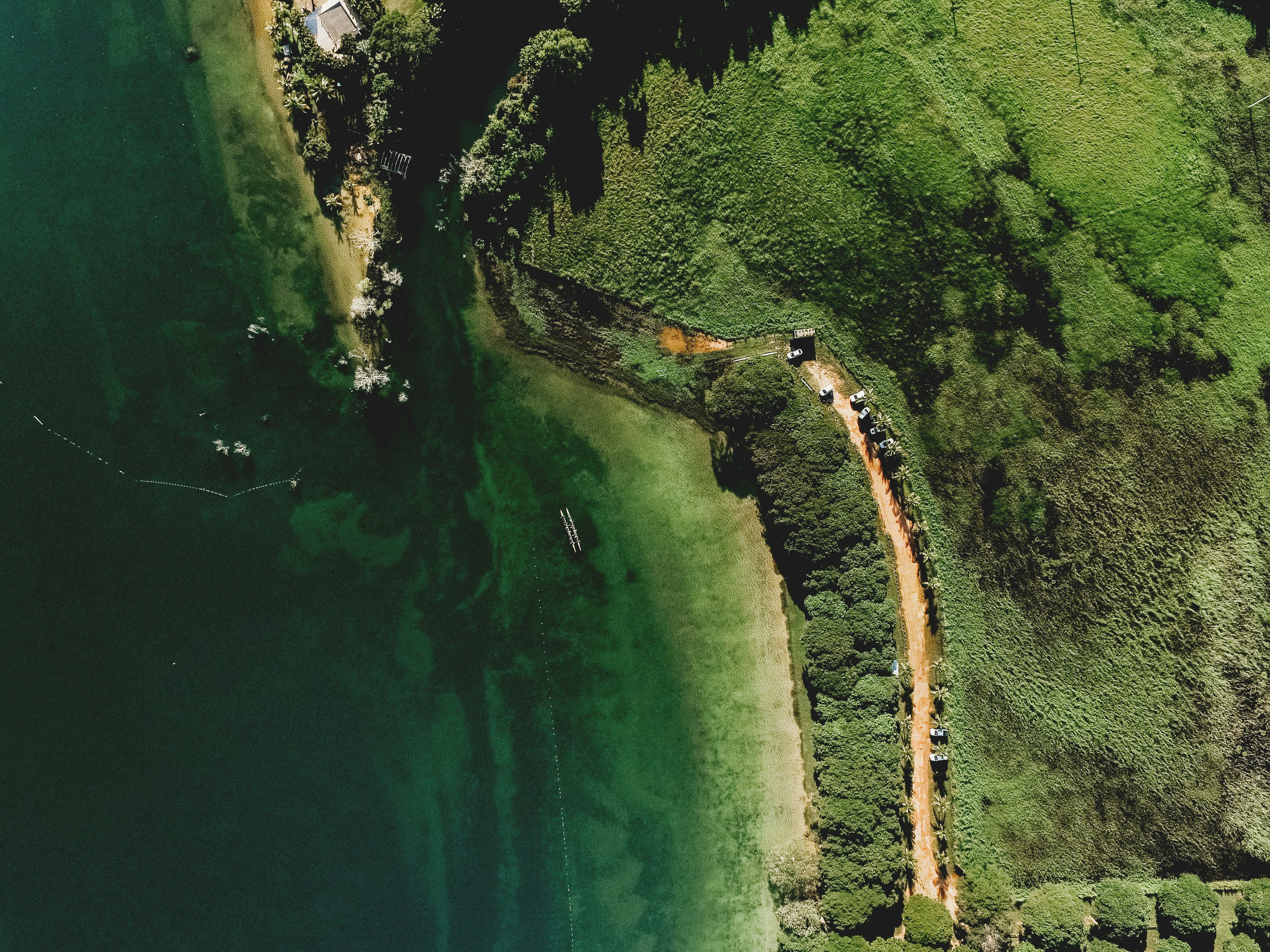 aerial view of green trees and river